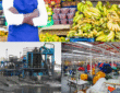 A collage image showing Kenyans working on different markets (Image Credit: Patrick Mwangi on LinkedIn)