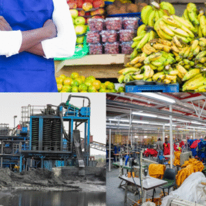 A collage image showing Kenyans working on different markets (Image Credit: Patrick Mwangi on LinkedIn)