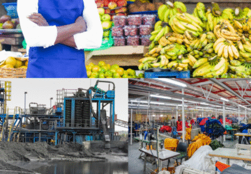 A collage image showing Kenyans working on different markets (Image Credit: Patrick Mwangi on LinkedIn)